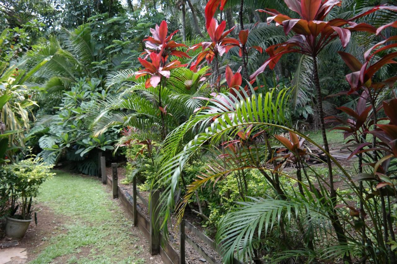 Muri Retreat Apartments Rarotonga Exterior foto
